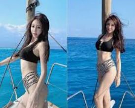 17c一起草 - 创意文化、影视作品与视频交流社区